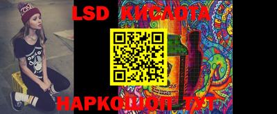 дмт Кимры