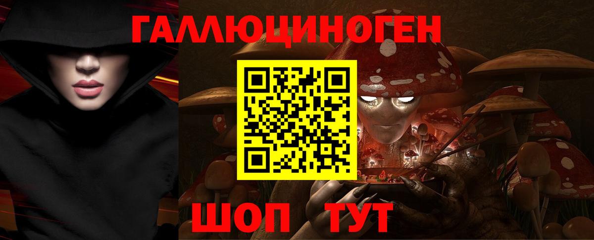Галлюциногенные грибы прущие грибы  Вход с VPN  Владивосток  Галлюциногенные грибы Psilocybe 